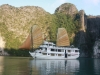 Calypso Cruiser Overview