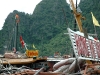 halong 