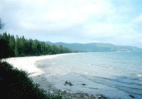 Ngoc Vung Beach Ngoc Vung Beach