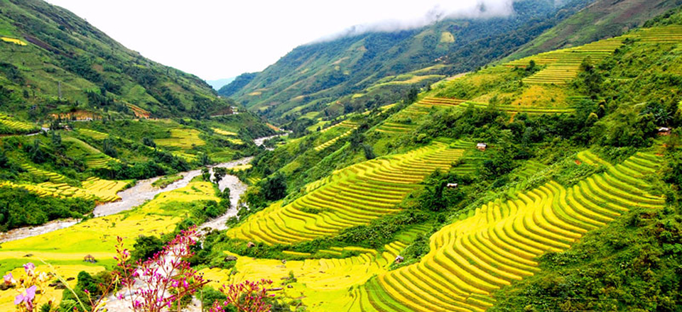 slider-Rice-Field-in-Sapa