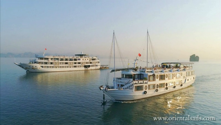 Oriental Sails, 10 years of establishment and development